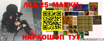 гидропоника Гуково