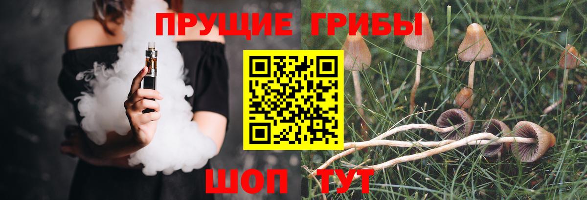 Псилоцибиновые грибы Cubensis Санкт-Петербург